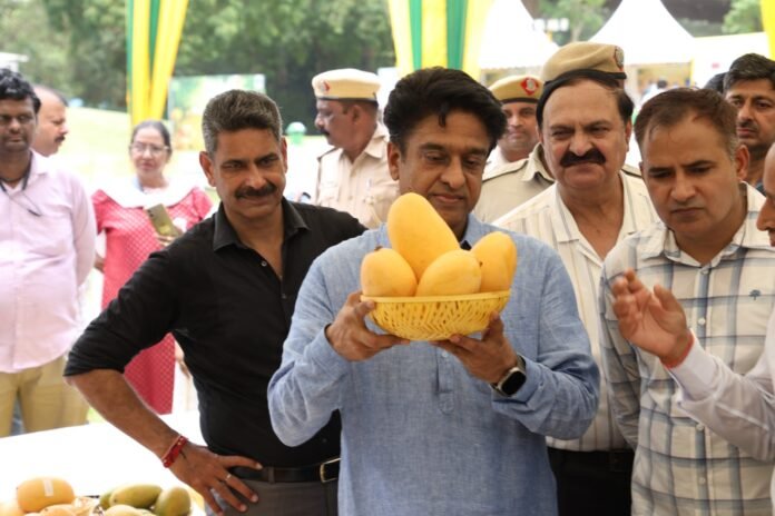 #Mango Festiwal #NDMC #New Delhi