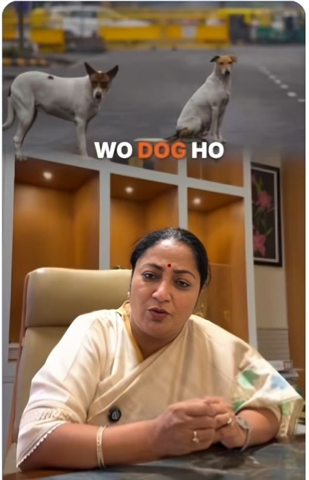 दिल्ली सरकार ने 13 जिलों में SPCA पहल शुरू की। पशु क्रूरता पर सख्त कार्रवाई, वेटरनरी अस्पतालों को सुधारा जाएगा।