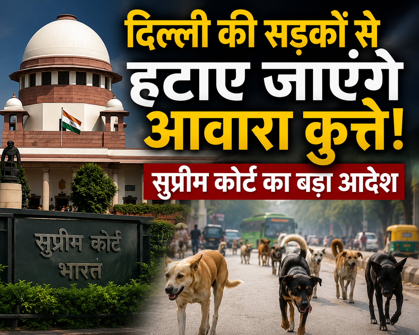 Supreme Court stray dogs order Maneka Gandhi ABC Centres India आवारा कुत्ते Dog Bite India Animal Birth Control Stray Dogs News Supreme Court India Animal Rights India Public Safety India