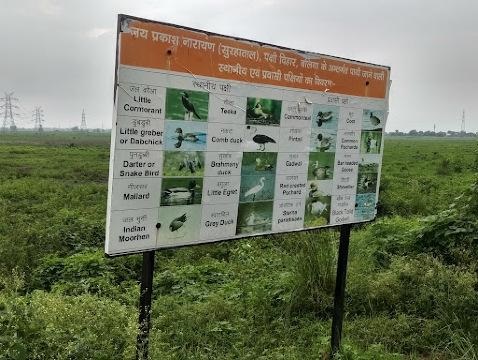 बलिया: भारत ने बनाया नया पर्यावरणीय कीर्तिमान! बलिया का सुरहा ताल बना देश का 100वां रामसर स्थल। पीएम मोदी बोले – यह भारत की आर्द्रभूमि संरक्षण के प्रति मजबूत प्रतिबद्धता का प्रमाण है।