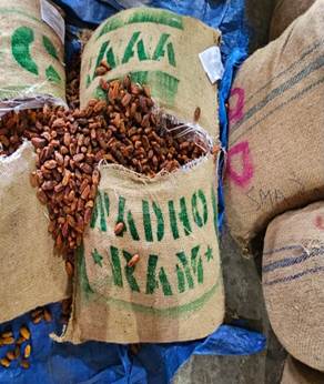 Major DRI crackdown: 364 metric tonnes of Pakistan-origin dry dates seized; 13 containers impounded.